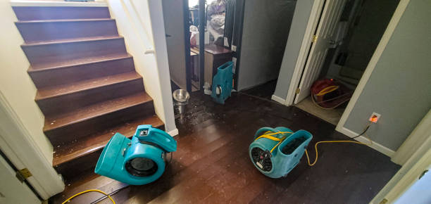 Best Professional water damage repair  in Steubenville, OH