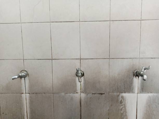 Best Emergency water damage restoration  in Steubenville, OH