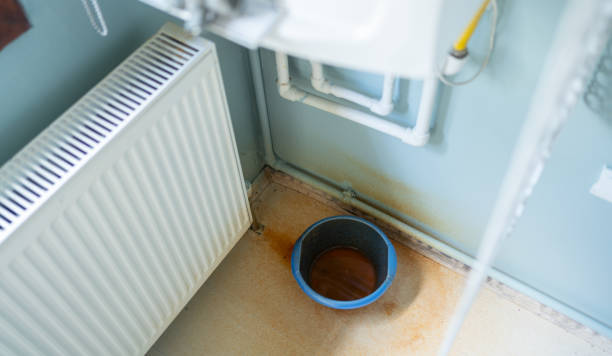 Best Carpet water damage restoration  in Steubenville, OH