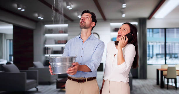 Best 24-hour water damage restoration  in Steubenville, OH